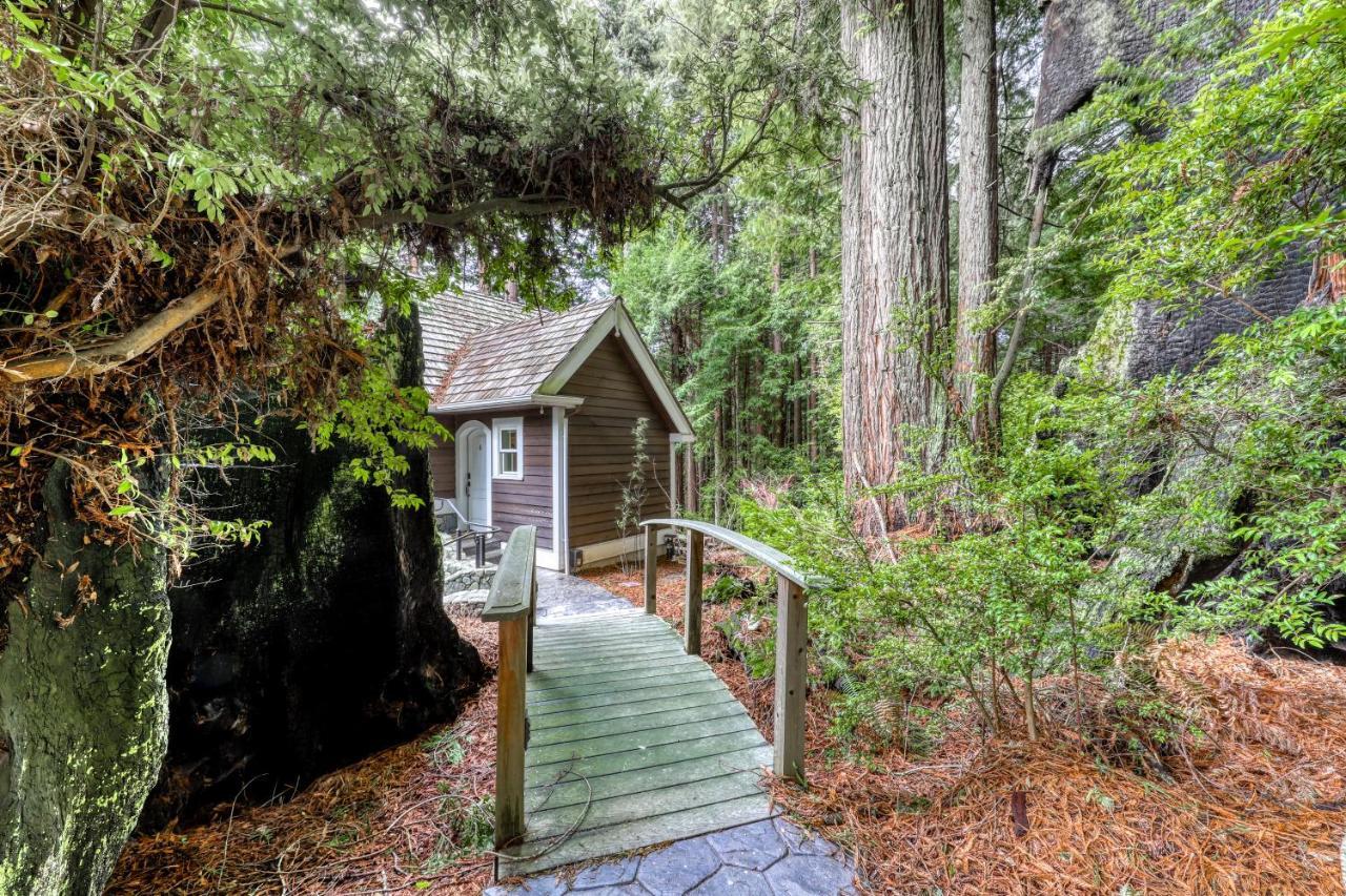 Serene Redwood Retreat Arcata Exterior photo